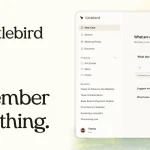 Littlebird AI