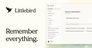 Littlebird AI