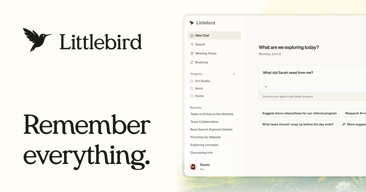 Littlebird AI